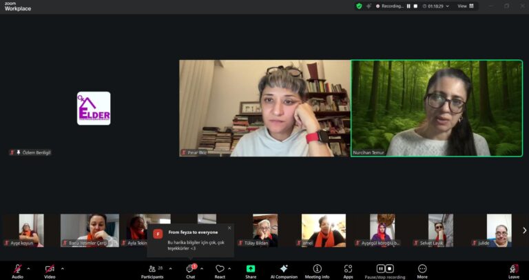 Dijital Şiddetle Mücadele